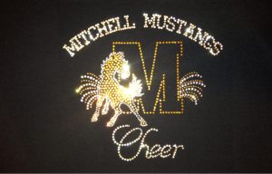 Mitchell Mustangs