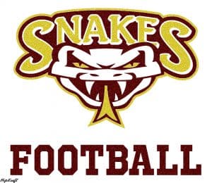 Snakes Football glitter custom design